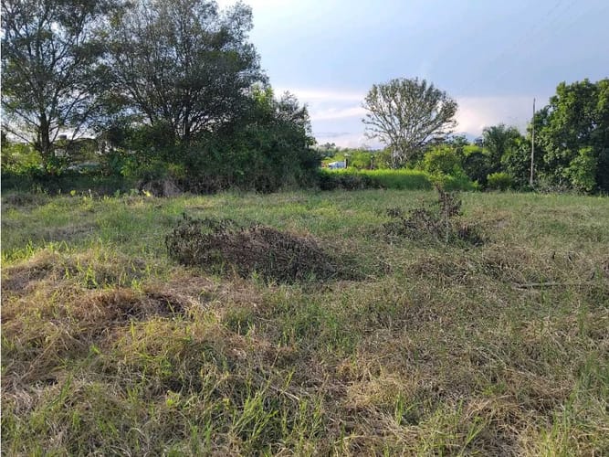 Lote en venta en Murillo, Armenia, 3073 m² · foto 4 de 10