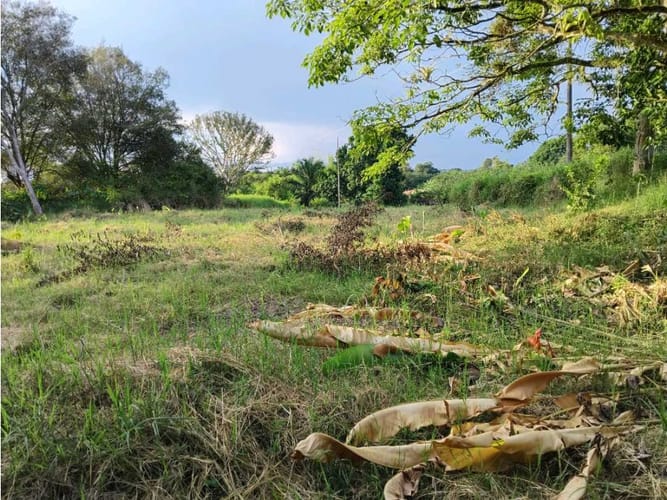 Lote en venta en Murillo, Armenia, 3073 m² · foto 7 de 10