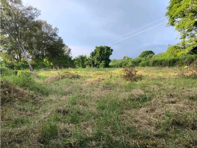Lote en venta en Murillo, Armenia, 3073 m² · foto 8 de 10