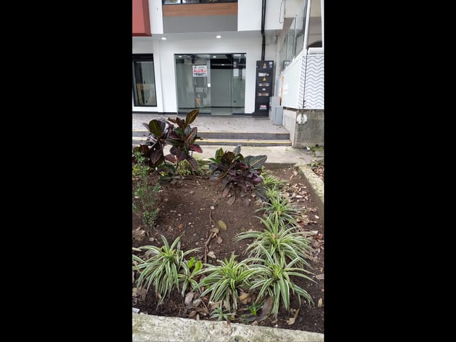 Local en arriendo en San Vicente, Cali, 43 m² · foto 7 de 16