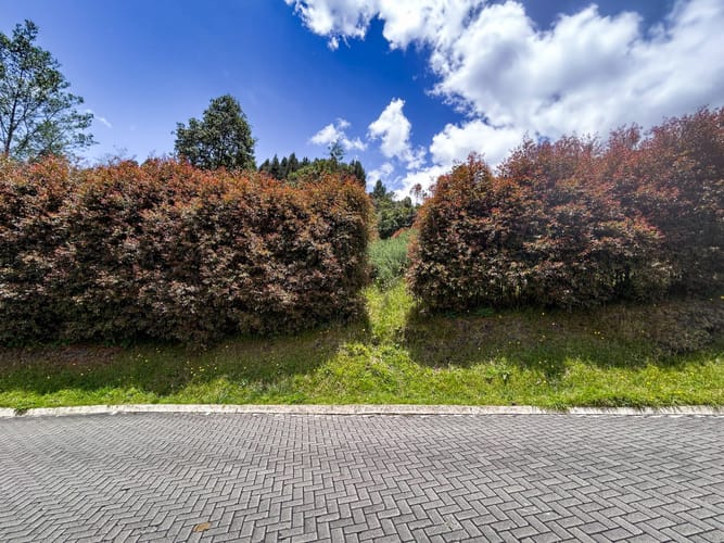 Lote en venta en San Jose De La Concepcion, La Calera · foto 5 de 13
