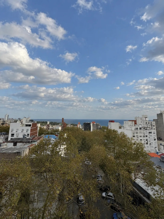 Alquiler Apartamento De 2 Dormitorios Terraza Vista Al Mar En Parque Rodó · Foto 11