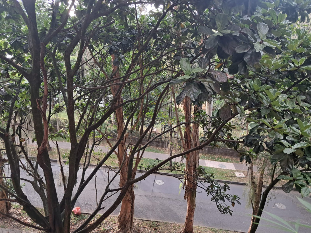 Apartamento en venta en Loma Del Esmeraldal, Envigado · foto 3 de 24