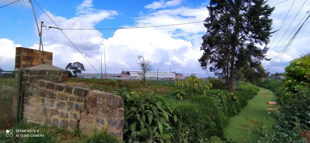 Lote en arriendo en El Lucero, Mosquera, 28920 m² · foto 2 de 5