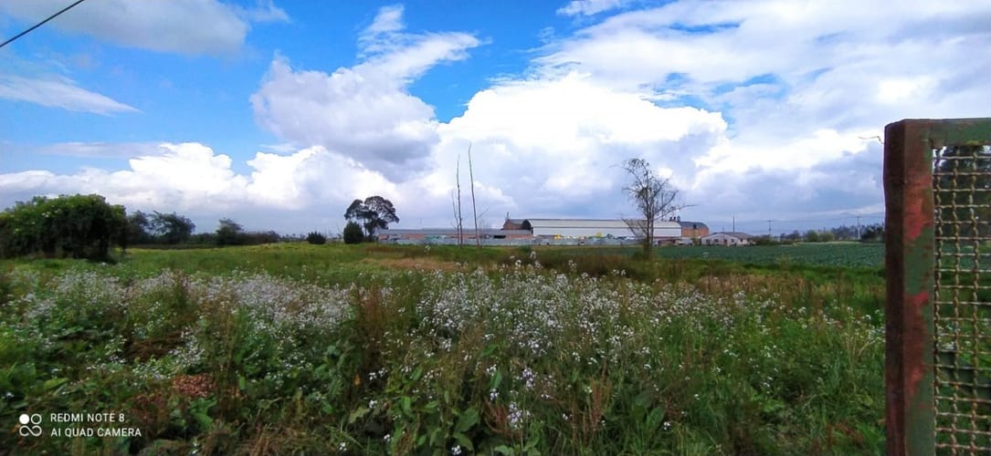 Lote en arriendo en El Lucero, Mosquera, 28920 m² · foto 3 de 5