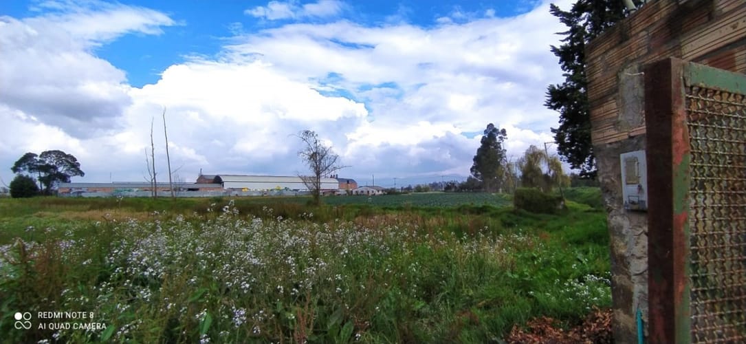 Lote en arriendo en El Lucero, Mosquera, 28920 m² · foto 5 de 5