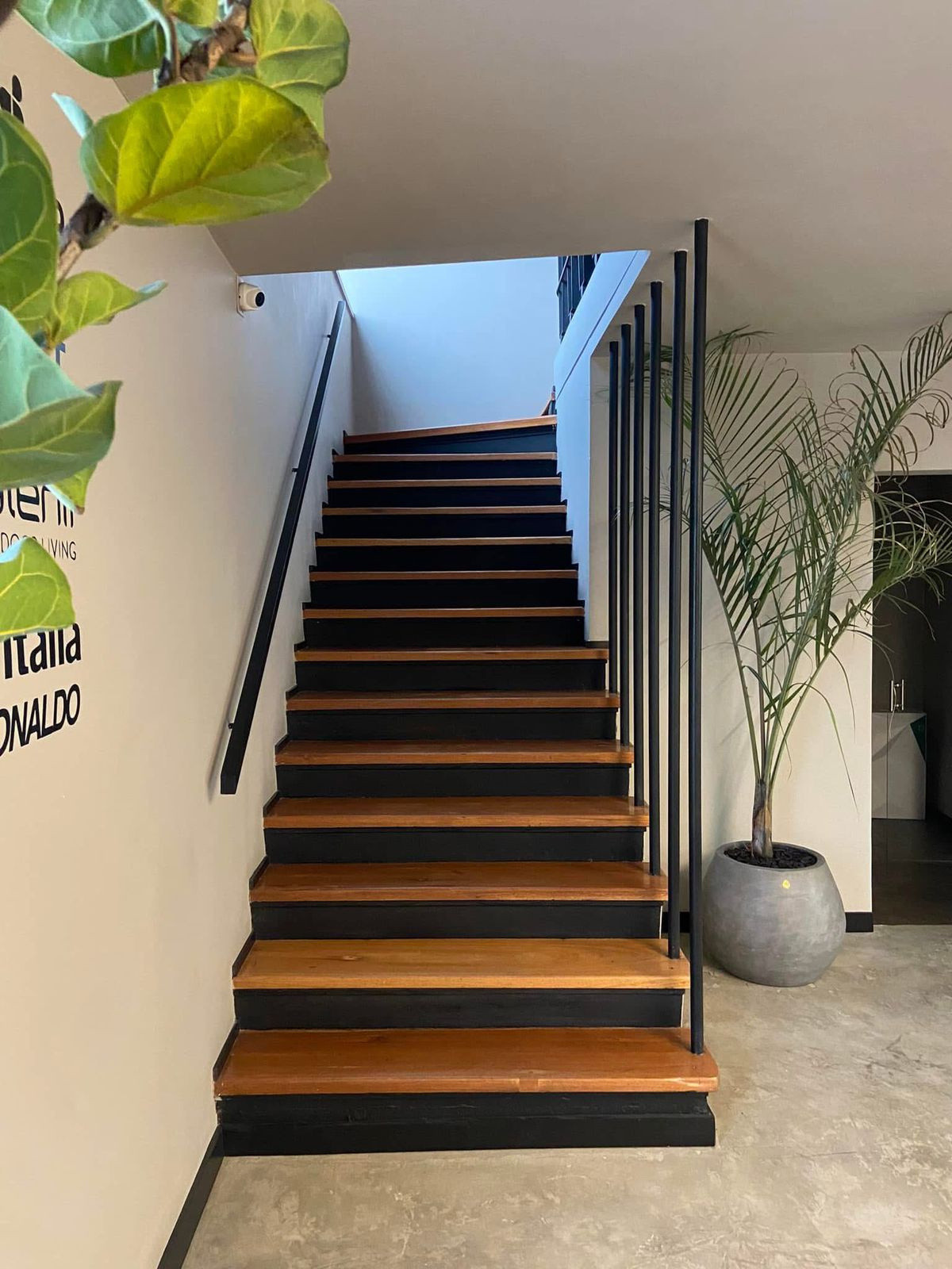 Casa en venta en Quinta Camacho, Bogotá · foto 3 de 19