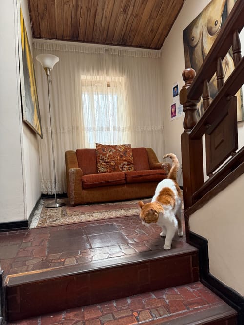 Casa de 5 alcobas en venta en Pontevedra, Bogotá, 330 m² · foto 18 de 24