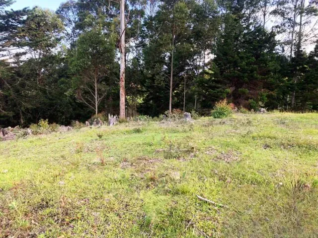 Lote en venta en Sajonia, Rionegro, 11258 m² · foto 2 de 6