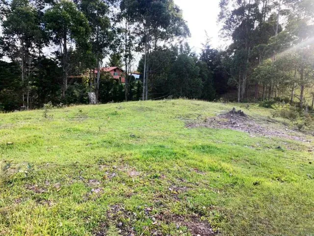 Lote en venta en Sajonia, Rionegro, 11258 m² · foto 4 de 6