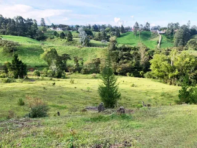 Lote en venta en Sajonia, Rionegro, 11258 m² · foto 5 de 6