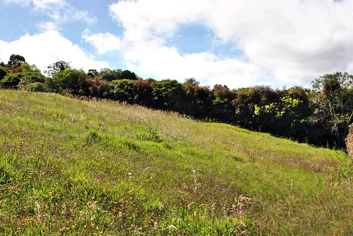 Lote en venta en Las Palmas, Envigado, 6400 m² · foto 3 de 17