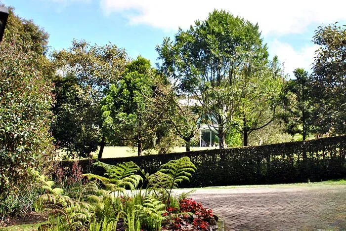 Lote en venta en Las Palmas, Envigado, 6400 m² · foto 9 de 17