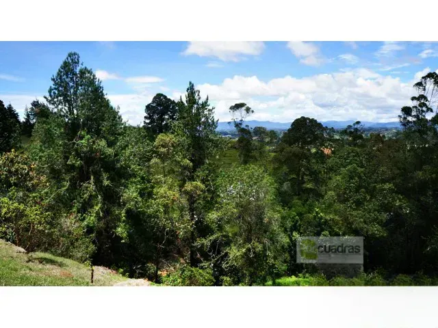 Lote en venta en La Clara, Guarne, 7180 m² · foto 6 de 18