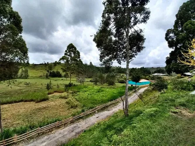 Finca en venta en La Charanga, Guarne, 64182 m² · foto 10 de 17