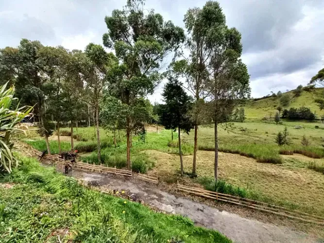 Finca en venta en La Charanga, Guarne, 64182 m² · foto 11 de 17