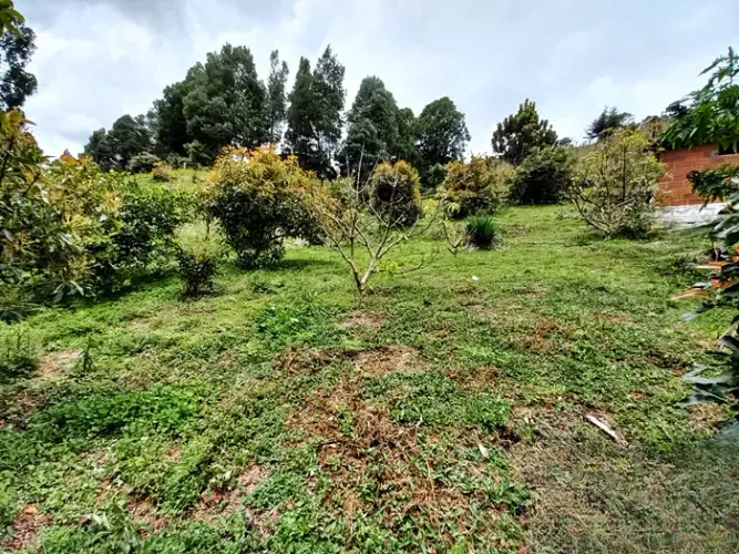 Finca en venta en La Charanga, Guarne, 64182 m² · foto 13 de 17