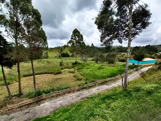 Finca en venta en La Charanga, Guarne, 64182 m² · foto 16 de 17