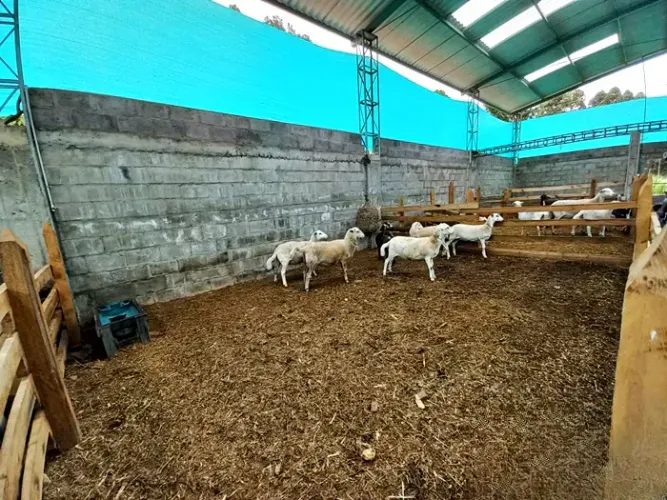 Finca en venta en La Charanga, Guarne, 64182 m² · foto 17 de 17