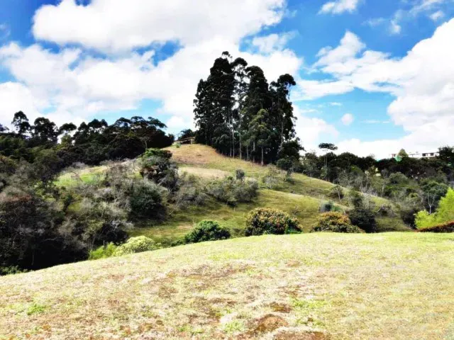 Lote en venta en Quirama, El Carmen de Viboral, 4920 m² · foto 6 de 6