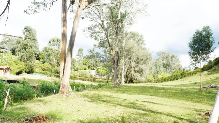 Lote en venta en El Tablazo, Rionegro, 4000 m² · foto 3 de 10
