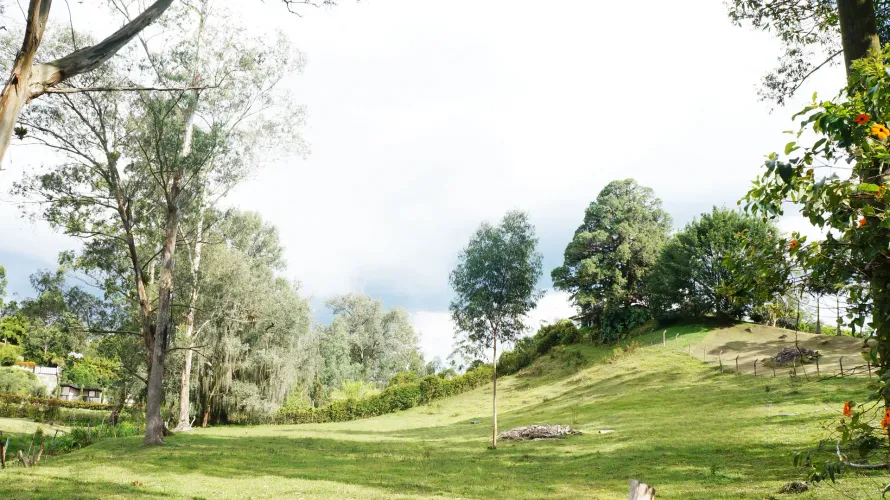 Lote en venta en El Tablazo, Rionegro, 4000 m² · foto 6 de 10