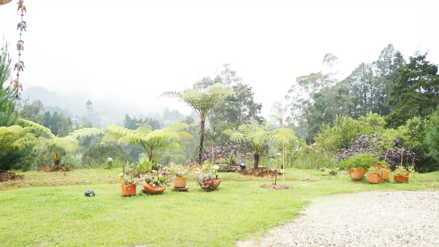 Lote en venta en El Tablazo, Rionegro, 4000 m² · foto 7 de 10