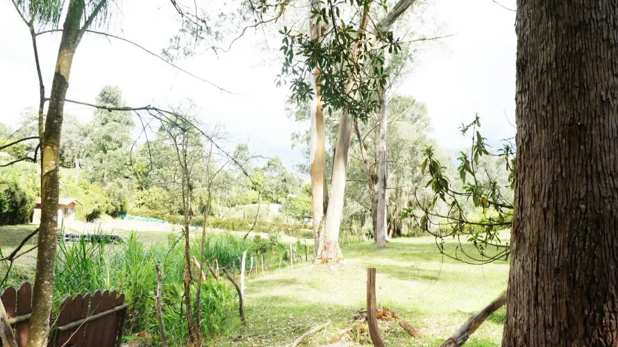 Lote en venta en El Tablazo, Rionegro, 4000 m² · foto 9 de 10