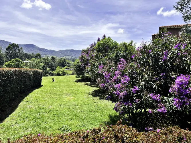 Lote en venta en Guamito, La Ceja, 3638 m² · foto 8 de 19