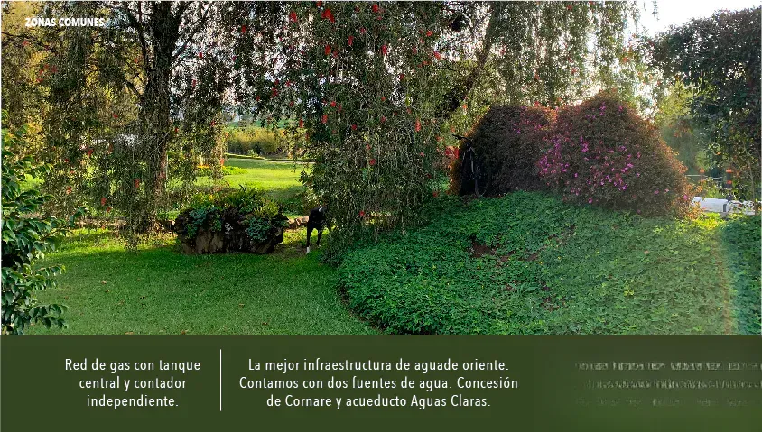 Lote en venta en Guamito, La Ceja, 3638 m² · foto 13 de 19