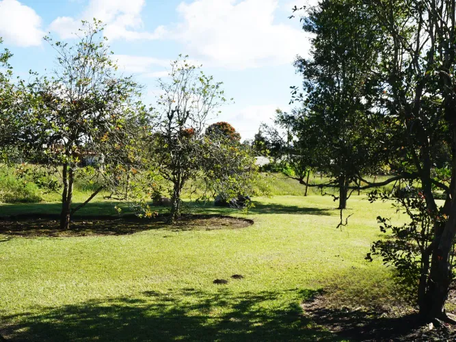 Lote en venta en Llano Grande, Rionegro, 4500 m² · foto 2 de 17