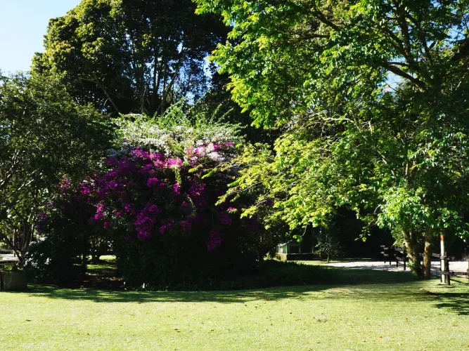 Lote en venta en Llano Grande, Rionegro, 4500 m² · foto 3 de 17