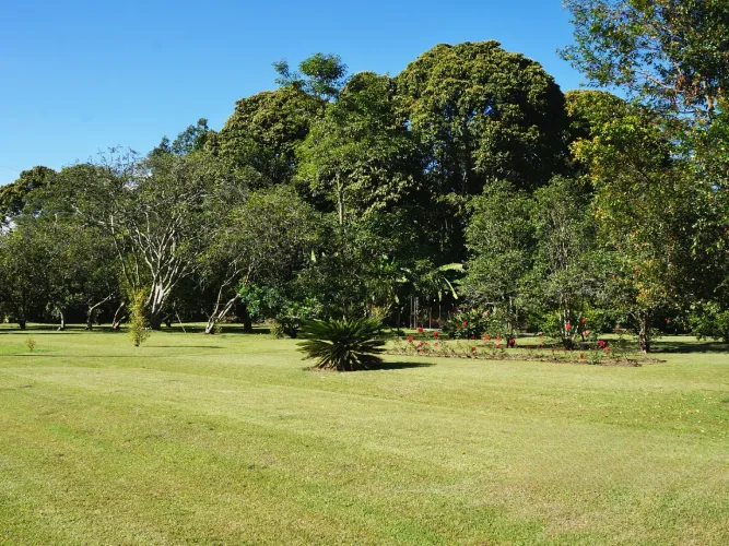 Lote en venta en Llano Grande, Rionegro, 4500 m² · foto 5 de 17