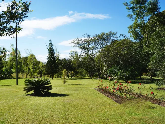 Lote en venta en Llano Grande, Rionegro, 4500 m² · foto 6 de 17