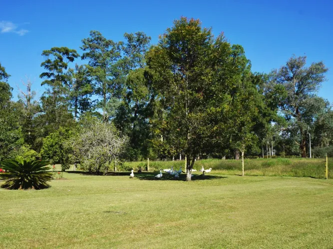 Lote en venta en Llano Grande, Rionegro, 4500 m² · foto 7 de 17