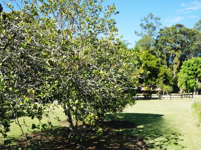 Lote en venta en Llano Grande, Rionegro, 4500 m² · foto 8 de 17