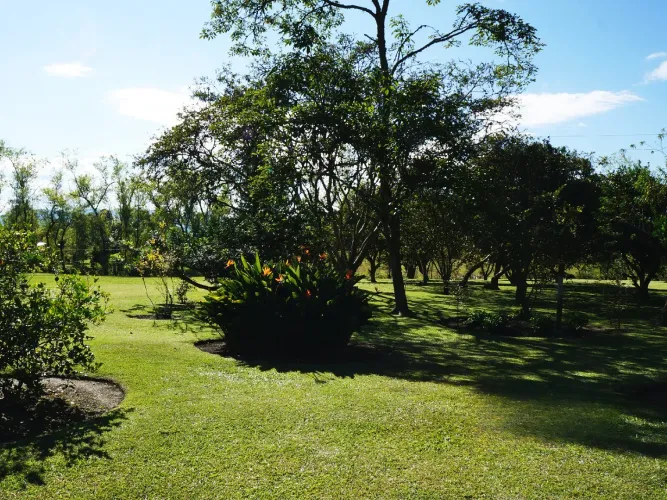 Lote en venta en Llano Grande, Rionegro, 4500 m² · foto 9 de 17