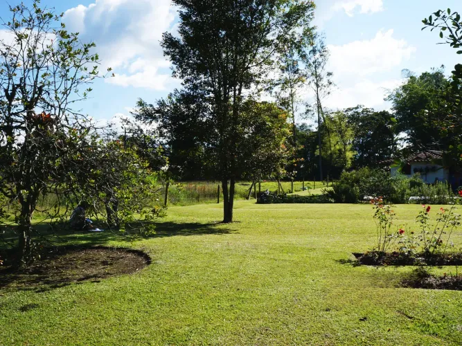 Lote en venta en Llano Grande, Rionegro, 4500 m² · foto 10 de 17