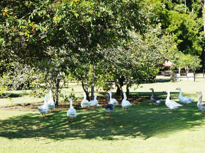 Lote en venta en Llano Grande, Rionegro, 4500 m² · foto 11 de 17