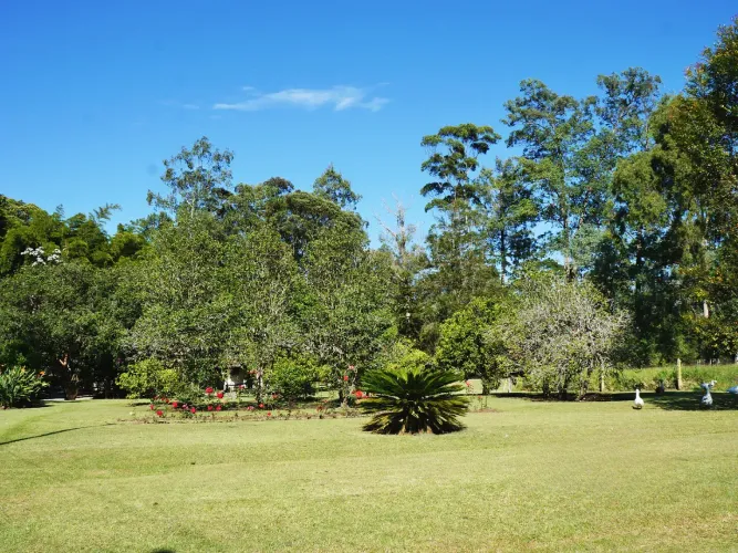 Lote en venta en Llano Grande, Rionegro, 4500 m² · foto 12 de 17