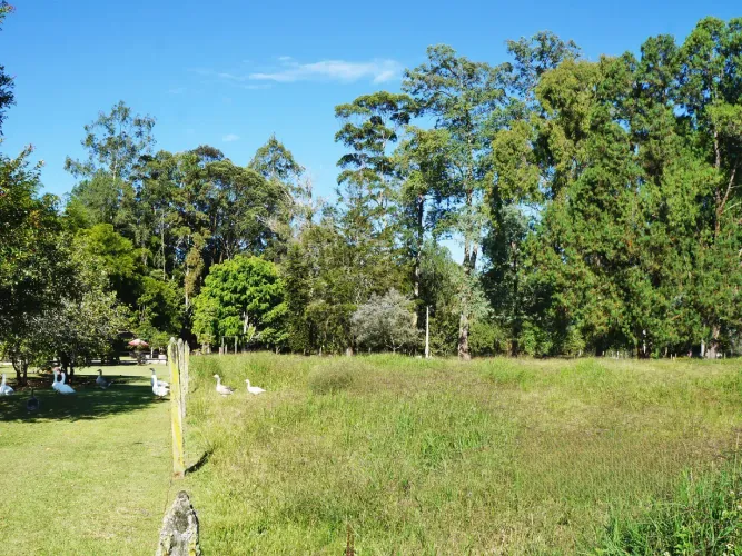 Lote en venta en Llano Grande, Rionegro, 4500 m² · foto 13 de 17