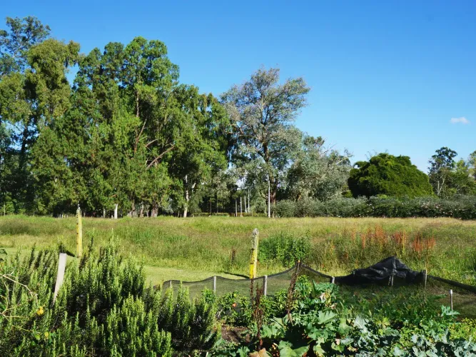 Lote en venta en Llano Grande, Rionegro, 4500 m² · foto 15 de 17