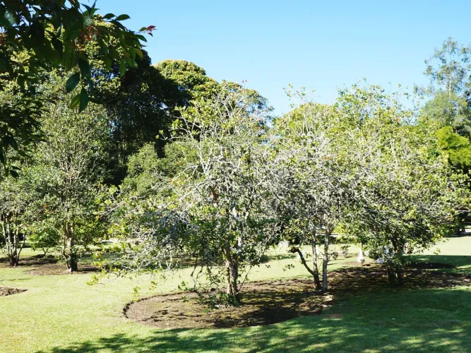 Lote en venta en Llano Grande, Rionegro, 4500 m² · foto 16 de 17
