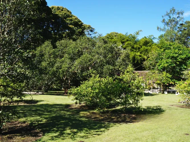 Lote en venta en Llano Grande, Rionegro, 4500 m² · foto 17 de 17