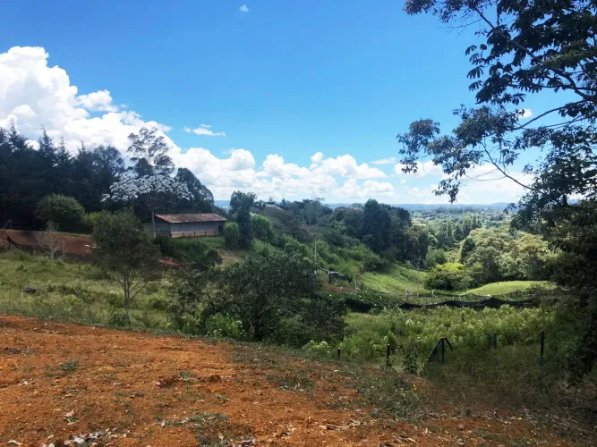 Lote en venta en El Porvenir, Rionegro, 4300 m² · foto 3 de 12