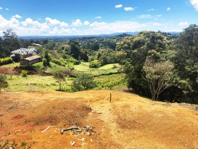 Lote en venta en El Porvenir, Rionegro, 4300 m² · foto 6 de 12