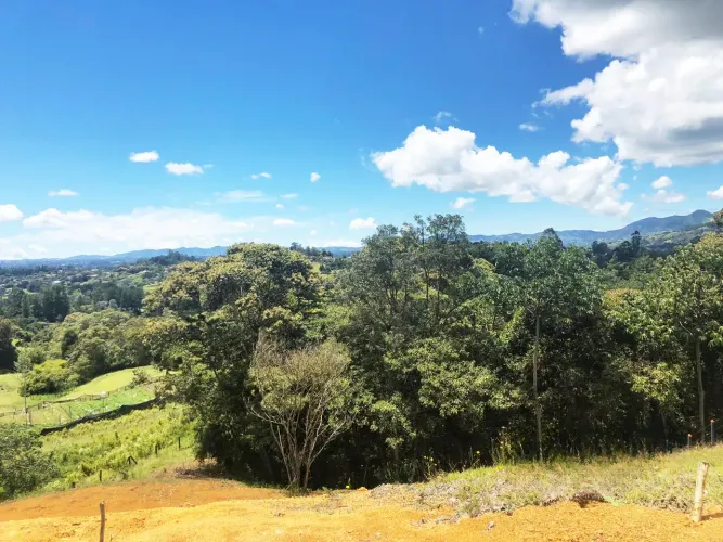 Lote en venta en El Porvenir, Rionegro, 4300 m² · foto 8 de 12