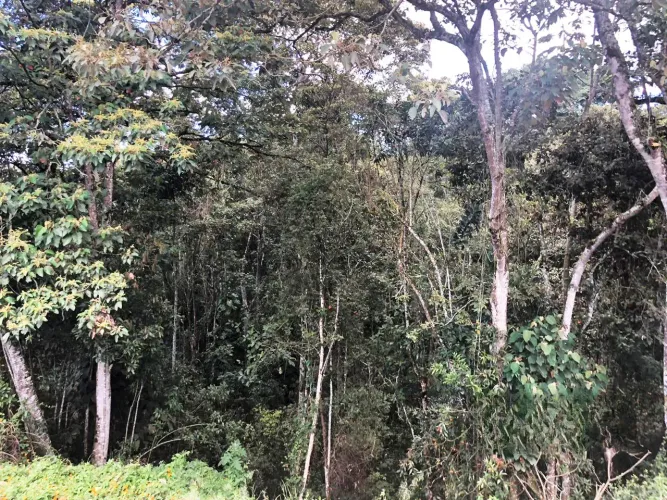 Lote en venta en El Porvenir, Rionegro, 4300 m² · foto 9 de 12