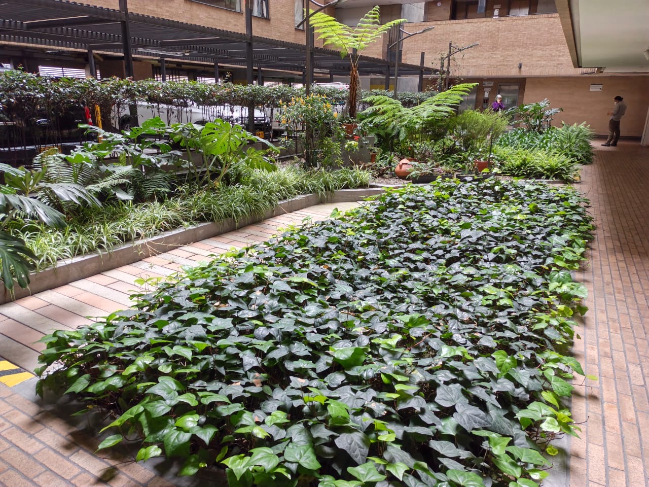Apartamento en venta en Quinta Paredes, Bogotá · foto 8 de 11
