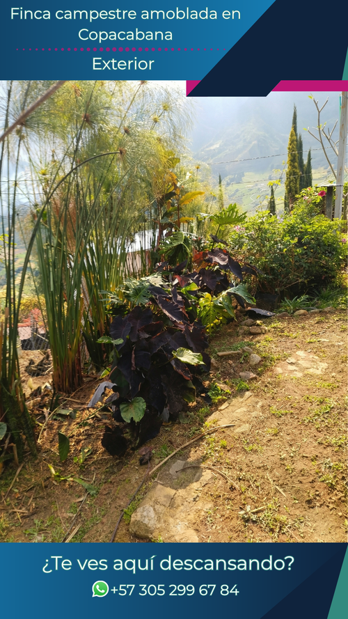 Finca en venta en Alto De La Virgen, Guarne, 800 m² · foto 9 de 20
